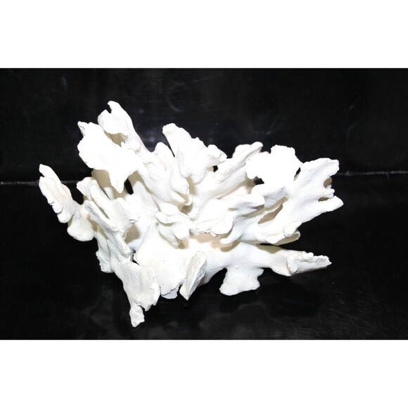 Decorative Faux Antler Coral Off White Sculpture Beach Ocean Decor 9.5" x 6.5"